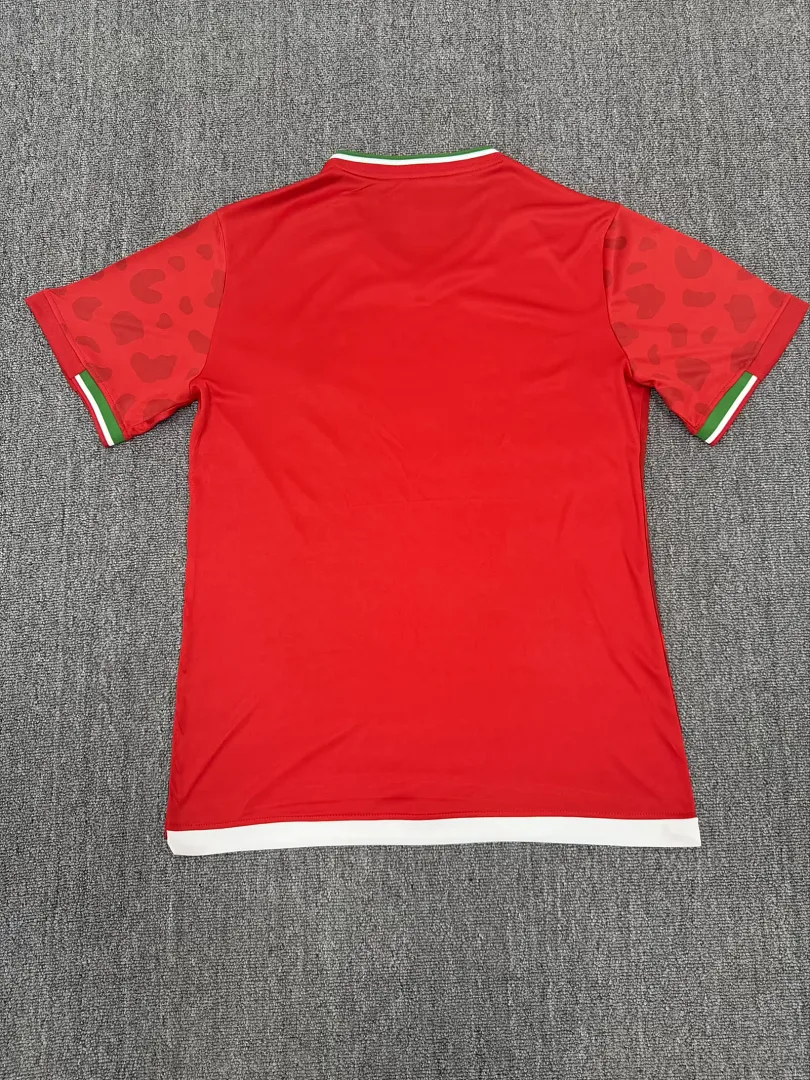 Irán 2026 Segunda Equipación Camiseta Manga Corta Red