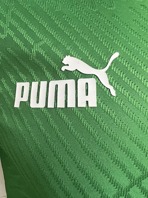 Ivory Coast 2024 Shirt Player Version Green — 2