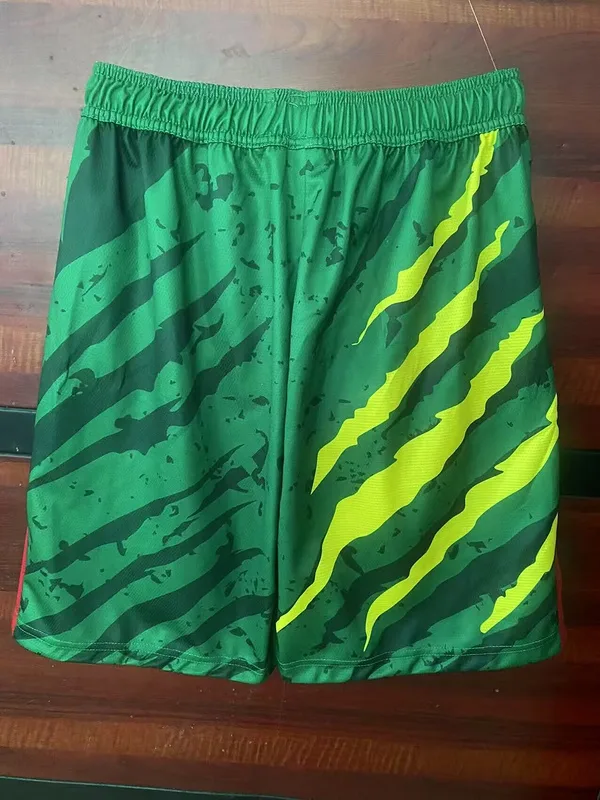 Cameroon 2025/26 Shorts Green