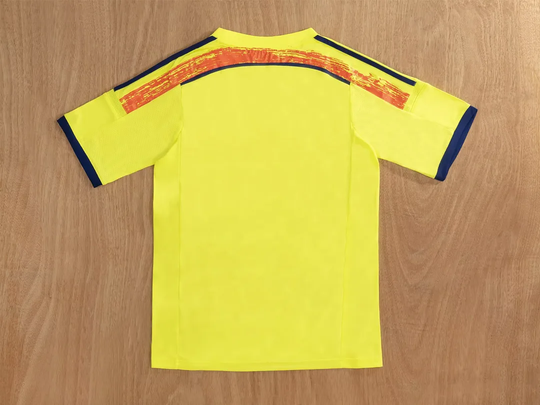 Japan 2014 Away Shirt