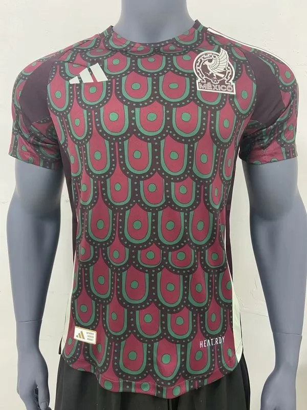 Nigeria 2024/25 Heim Trikot Spielerversion — 2