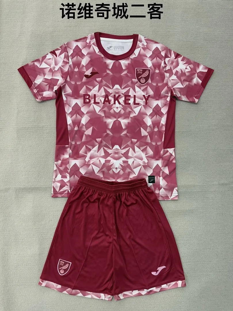 Norwich City 2025/26 Third Kids Kit — 2